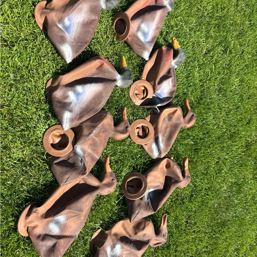 Vintage Duck Hunting Decoys Set - Picture 8 of 10